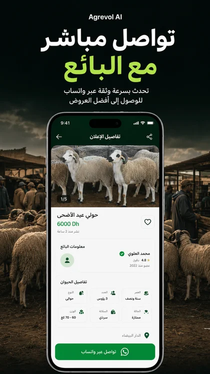 شاشة التواصل المباشر مع الباعة ومربي الماشية