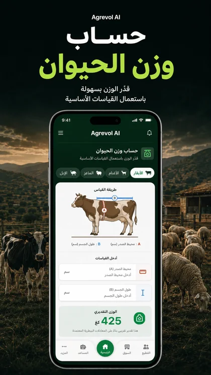 أداة حساب وزن الحيوان الذكية من خلال لقطات الكاميرا